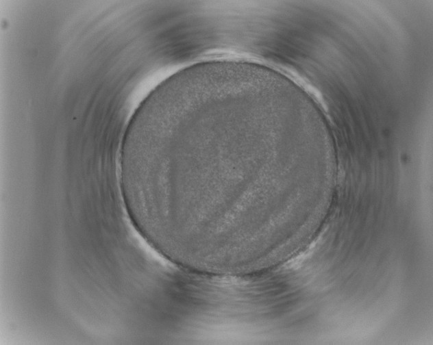 X0000088841239200707051439