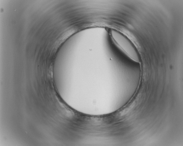 X0000088841241200707051439