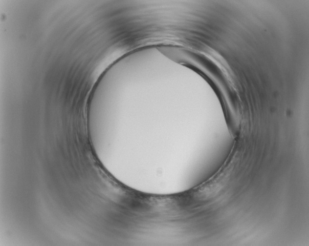 X0000088841242200707051439