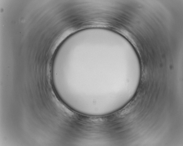 X0000088841243200707051439