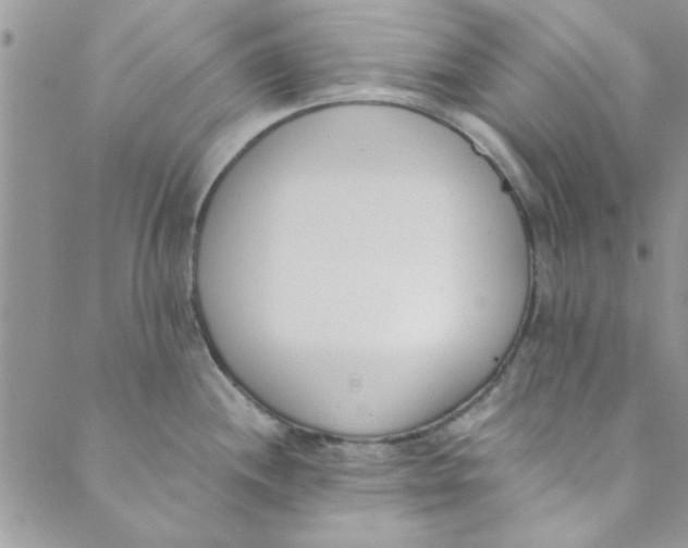 X0000088841244200707051439