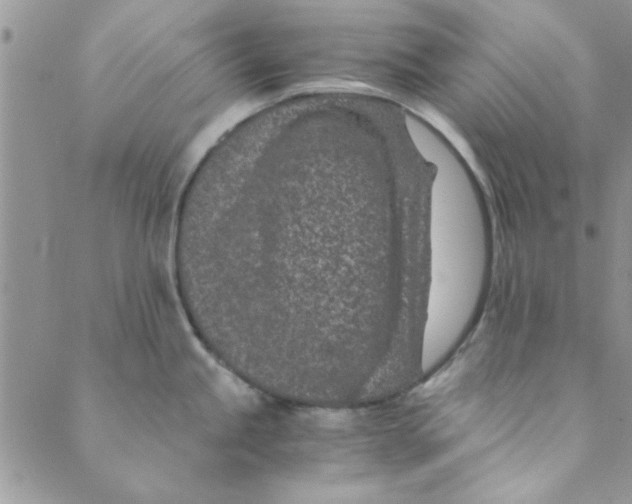 X0000088841245200707051440