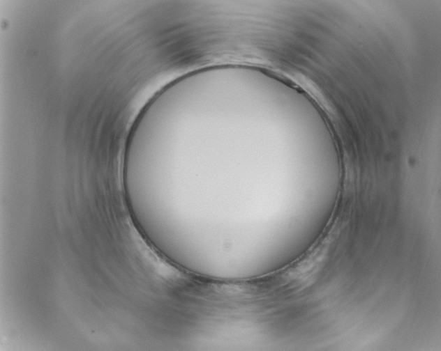 X0000088841246200707051440