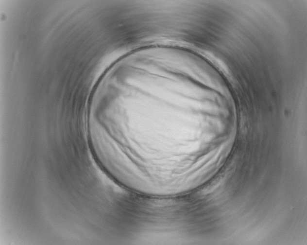 X0000088841247200707051440