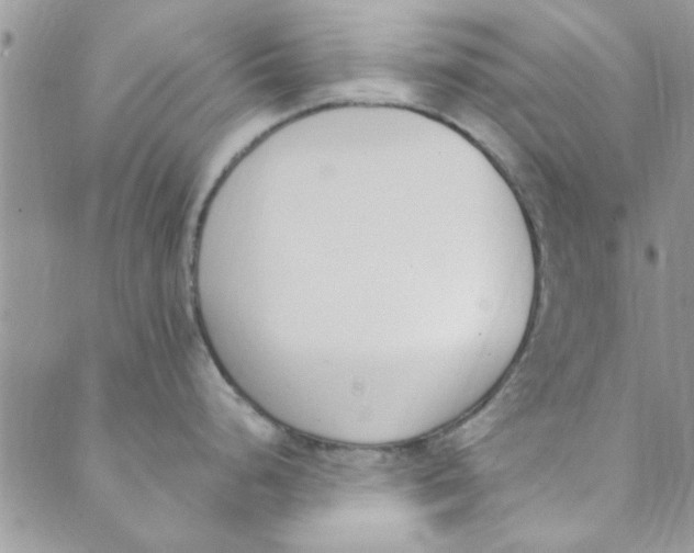 X0000088841248200707051440