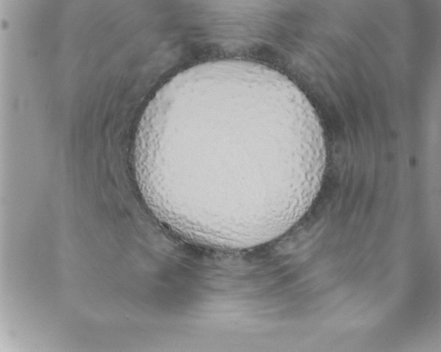 X0000088841249200707051439