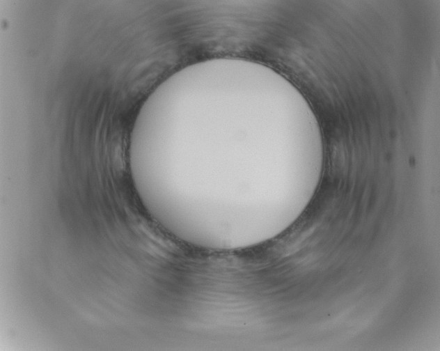 X0000088841250200707051439