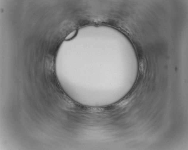 X0000088841251200707051439