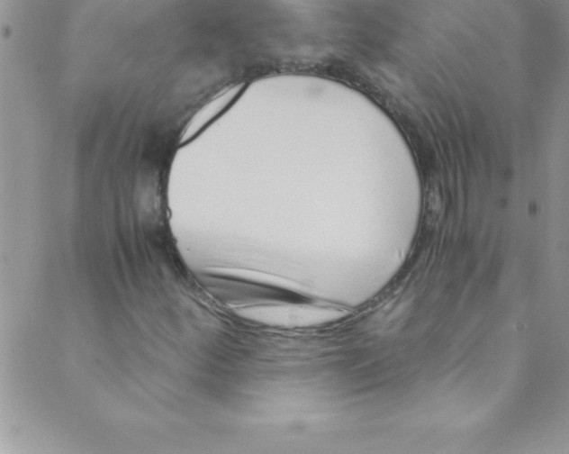 X0000088841252200707051439