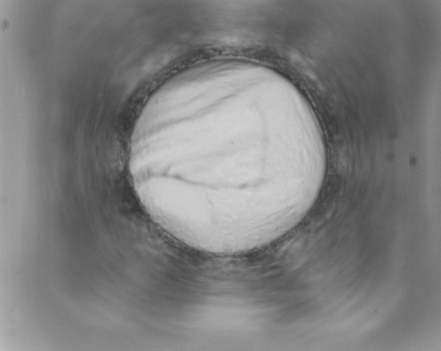 X0000088841253200707051439