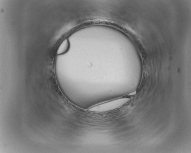 X0000088841255200707051439