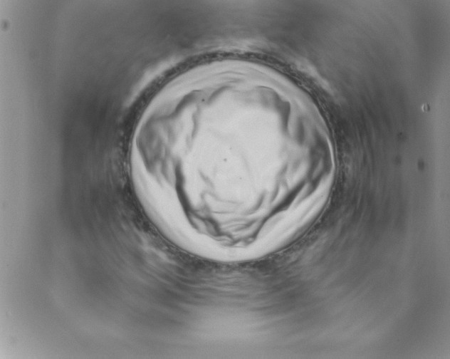 X0000088841256200707051439