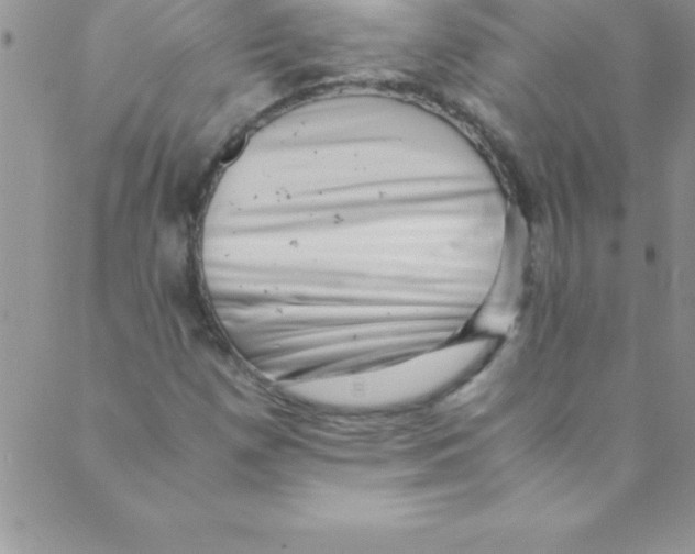 X0000088841257200707051439