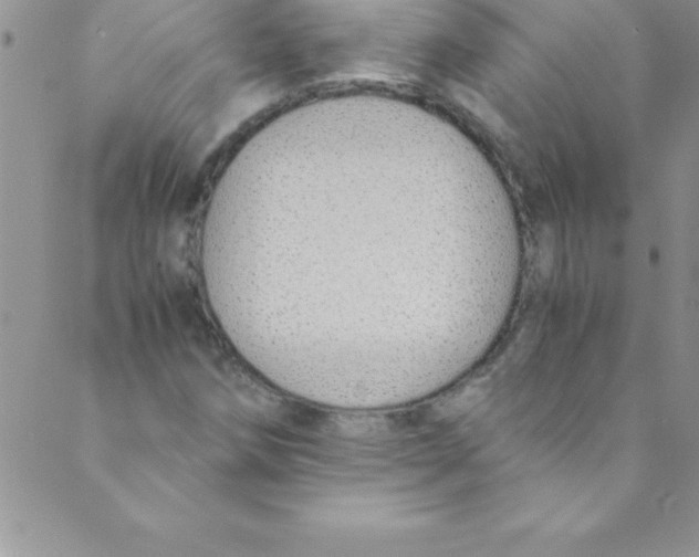 X0000088841258200707051439