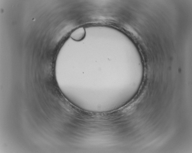 X0000088841259200707051439