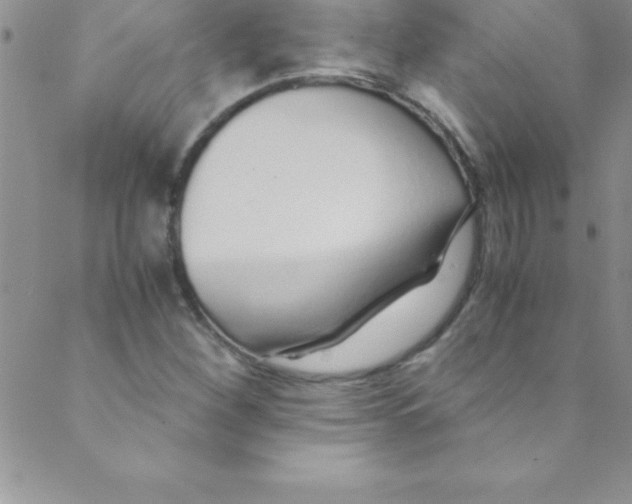 X0000088841260200707051439