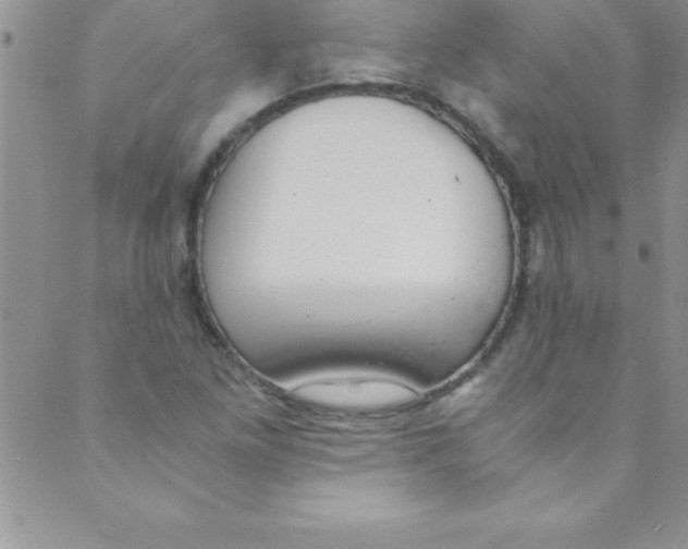 X0000088841261200707051439