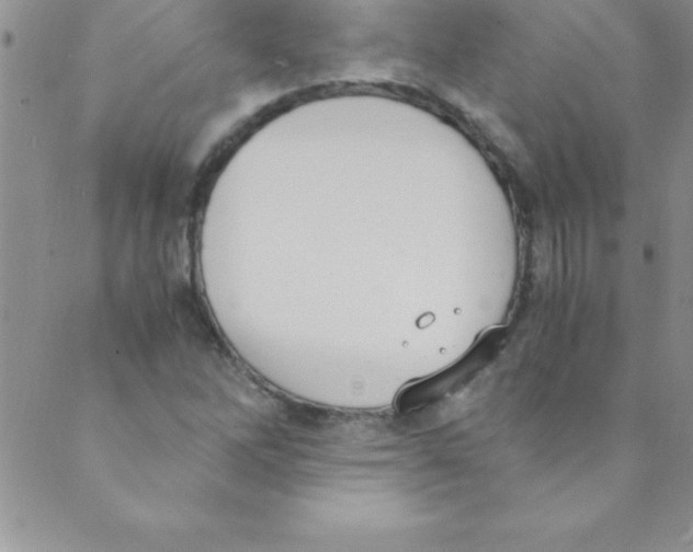 X0000088841262200707051439