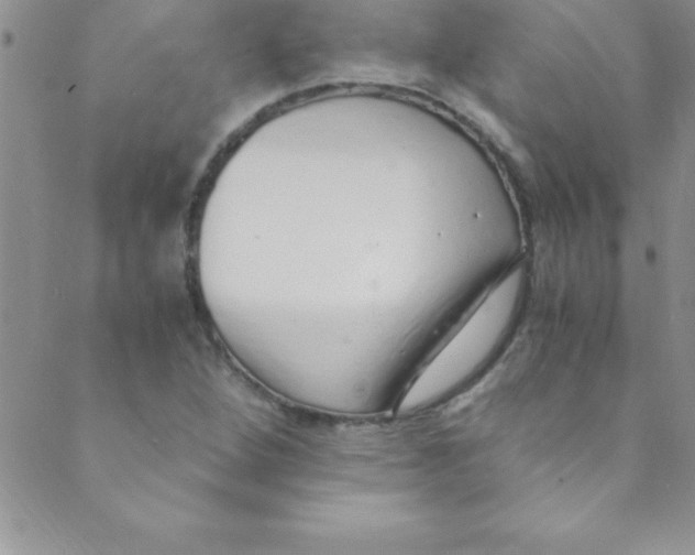 X0000088841264200707051439