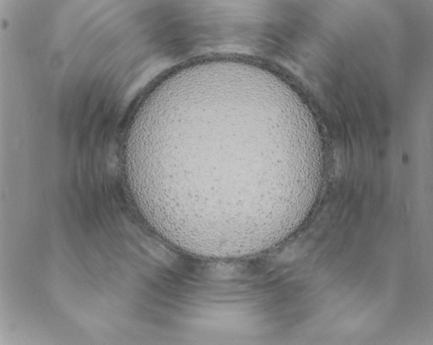 X0000088841266200707051438