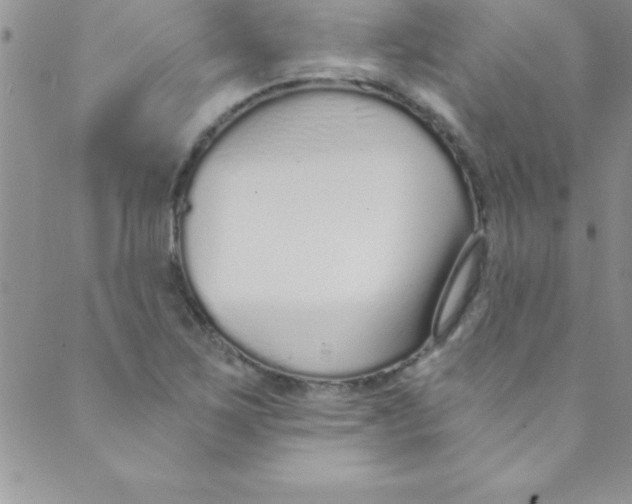 X0000088841267200707051438