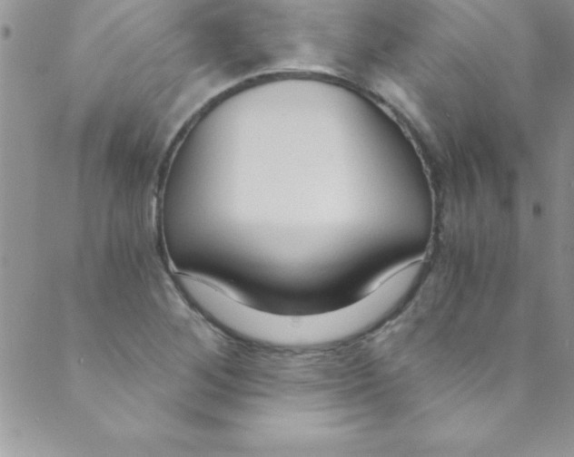 X0000088841268200707051438