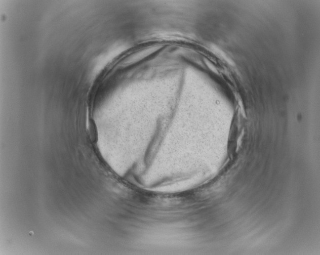 X0000088841269200707051438