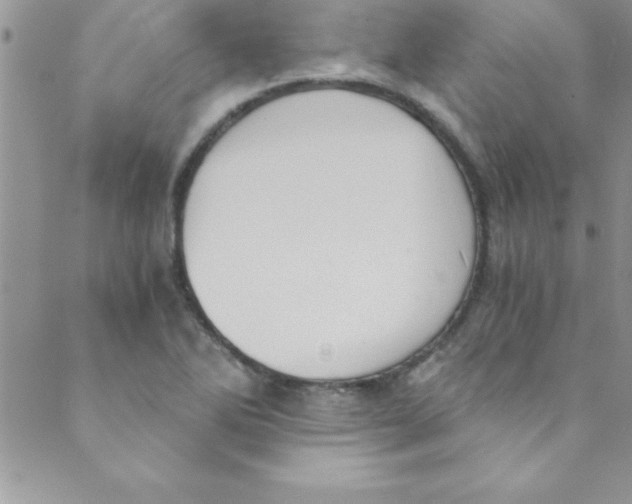 X0000088841270200707051438