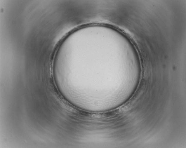 X0000088841271200707051438