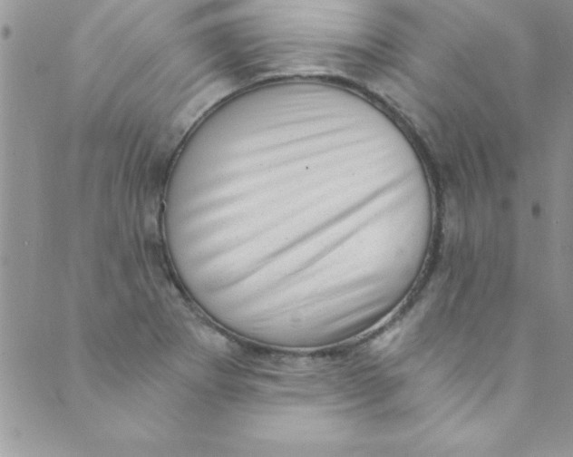 X0000088841273200707051438