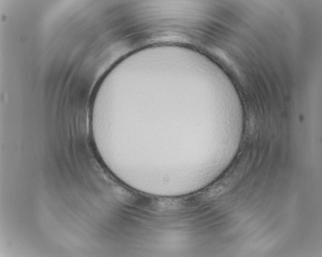 X0000088841274200707051438