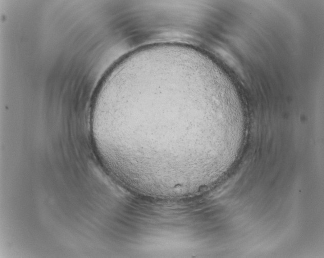 X0000088841275200707051438