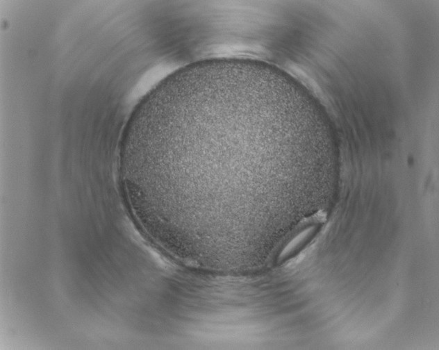 X0000088841277200707051438