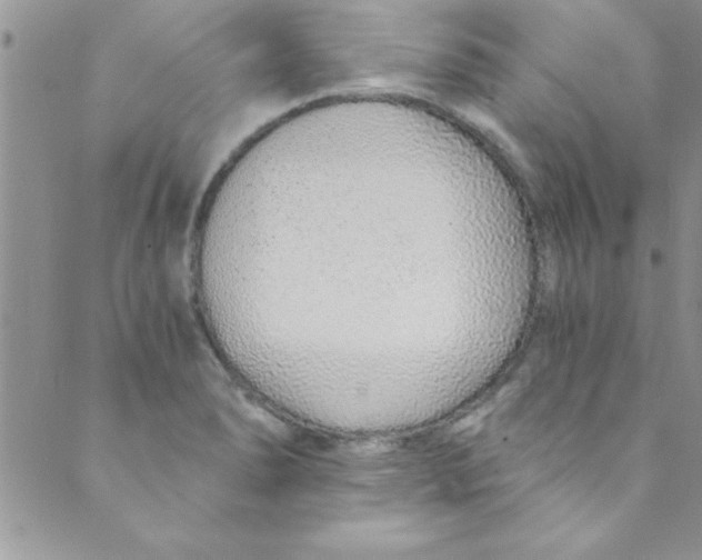 X0000088841278200707051438