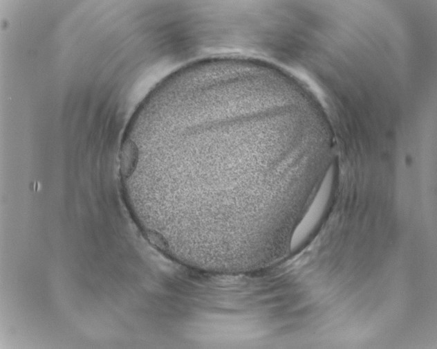 X0000088841279200707051438