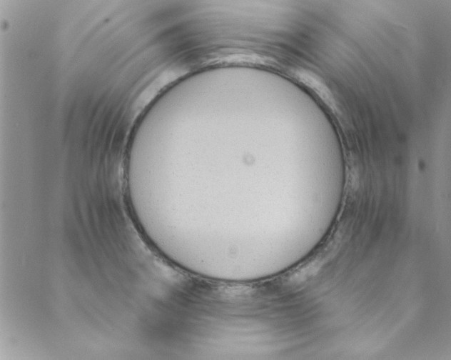 X0000088841282200707051438