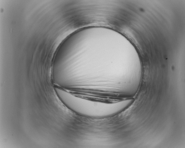 X0000088841284200707051438