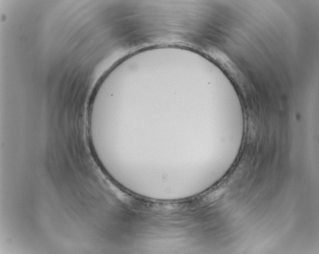 X0000088841286200707051438