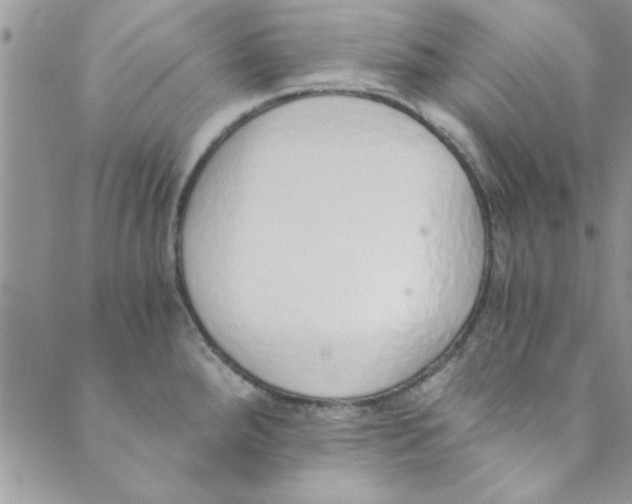 X0000088841288200707051438