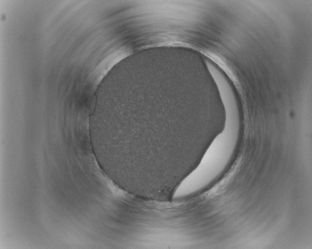 X0000088841289200707051438