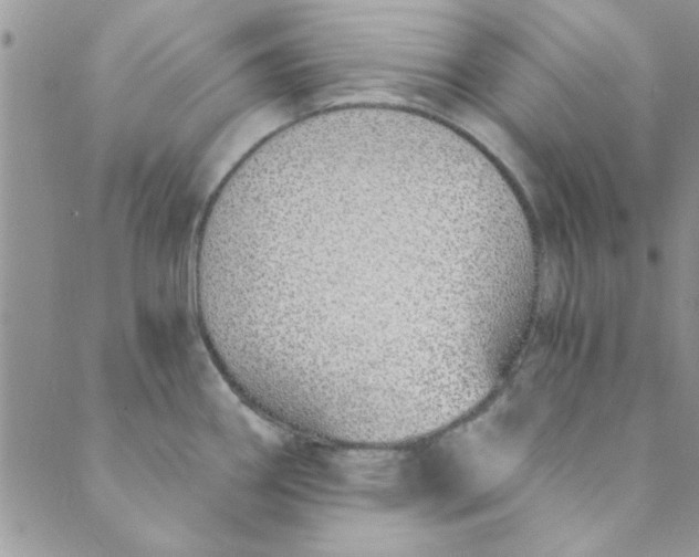 X0000088841290200707051438