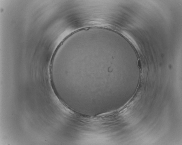 X0000088841291200707051438