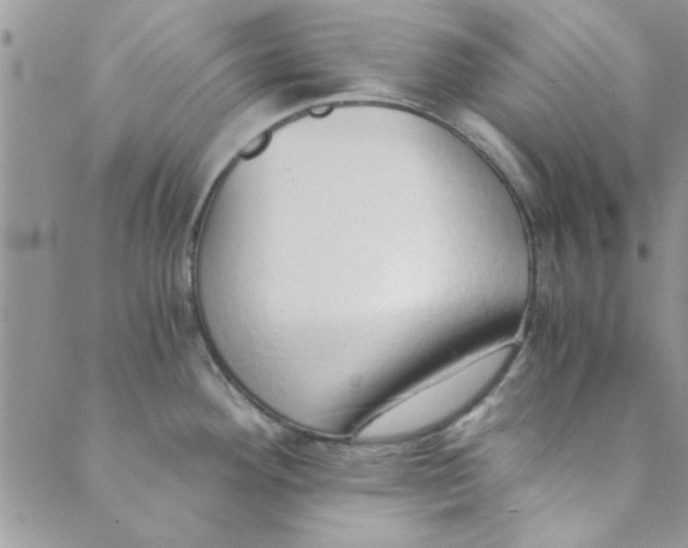 X0000088841292200707051438