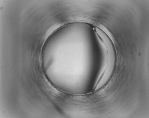 X0000088841293200707051438