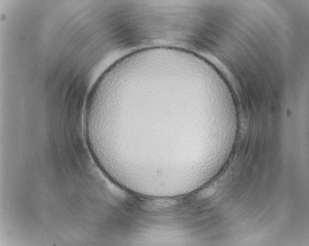 X0000088841294200707051438