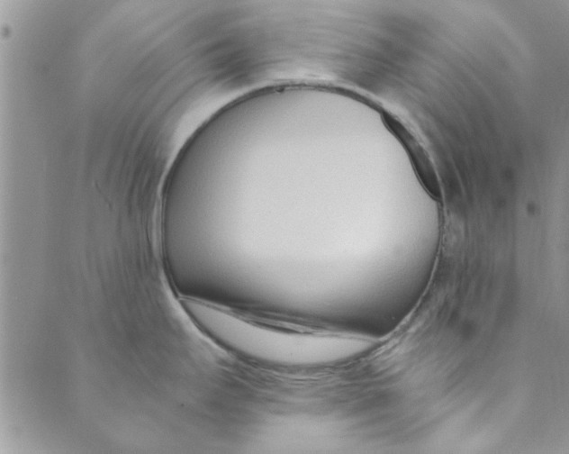 X0000088841295200707051438