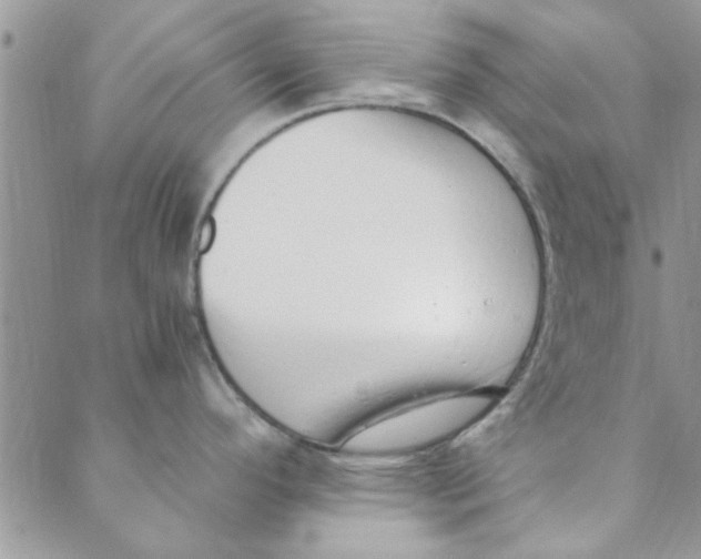 X0000088841296200707051438