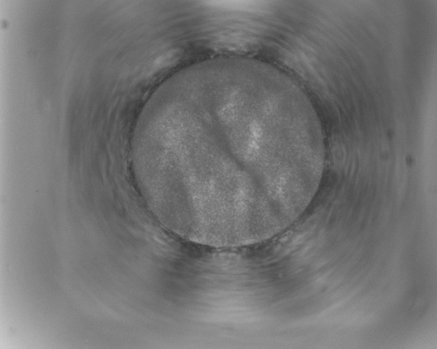 X0000088841297200707051437