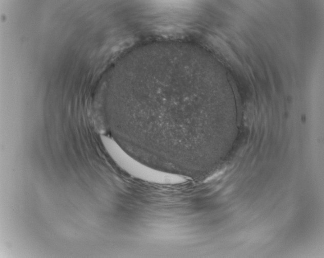 X0000088841298200707051437