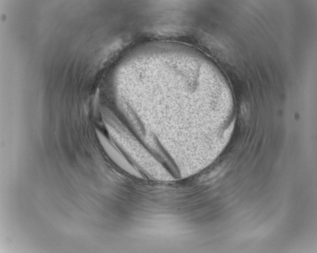 X0000088841300200707051437